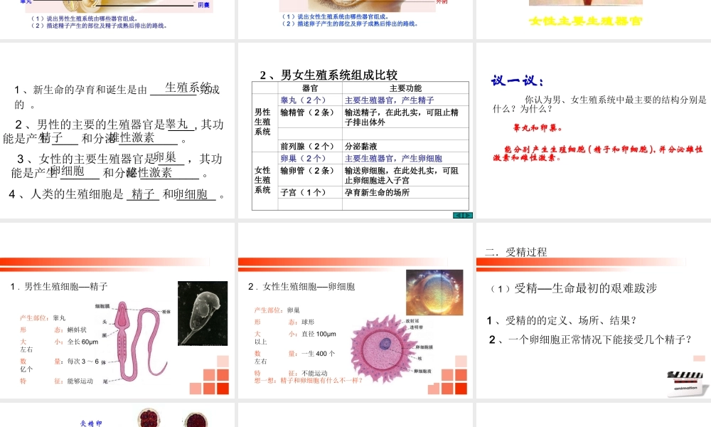 2014七年级生物下册 4.8.1 精卵结合孕育新的生命课件二 （新版）苏教版