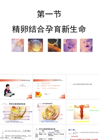 2014七年级生物下册 4.8.1 精卵结合孕育新的生命课件二 （新版）苏教版