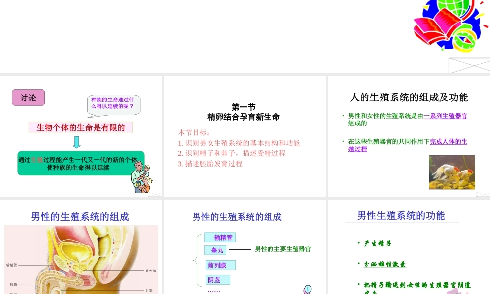 2014七年级生物下册 4.8.1 精卵结合孕育新的生命课件一 （新版）苏教版