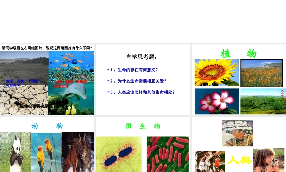 2014年秋七年级政治上册 第三课 第一框 世界因生命而精彩课件 新人教版