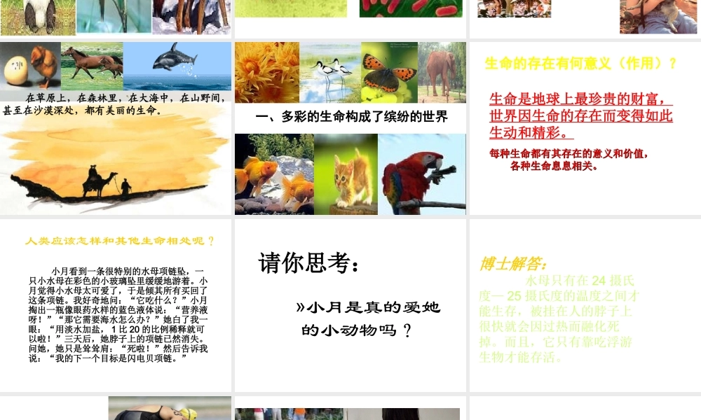 2014年秋七年级政治上册 第三课 第一框 世界因生命而精彩课件 新人教版