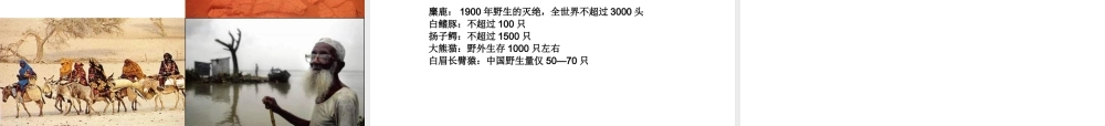 2014年秋七年级政治上册 第三课 第一框 世界因生命而精彩课件 新人教版