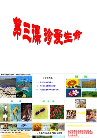 2014年秋七年级政治上册 第三课 第一框 世界因生命而精彩课件 新人教版