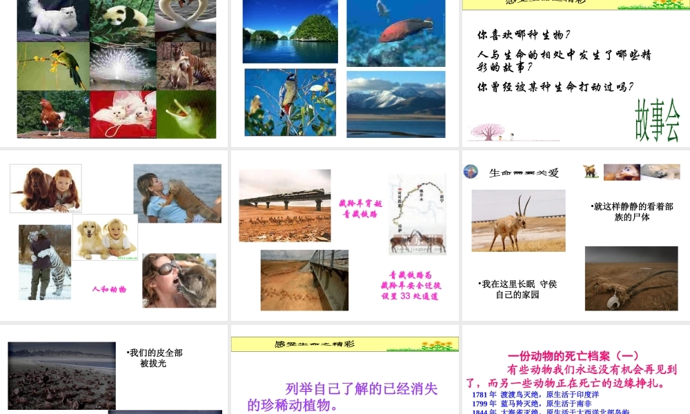 2014年秋七年级政治上册 第三课 第一框 世界因生命而精彩课件1 新人教版