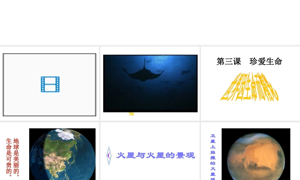 2014年秋七年级政治上册 第三课 第一框 世界因生命而精彩课件2 新人教版