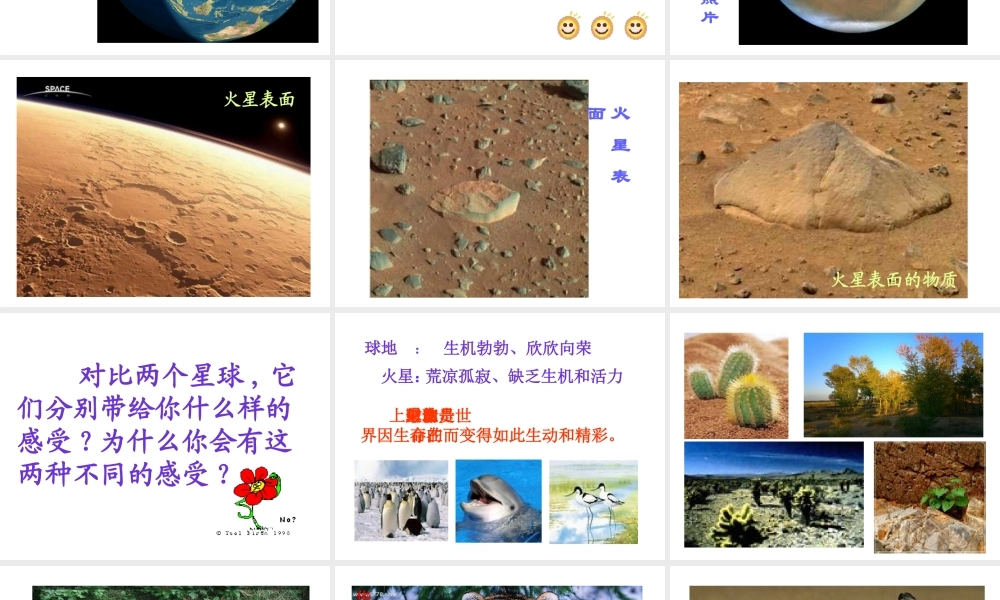 2014年秋七年级政治上册 第三课 第一框 世界因生命而精彩课件2 新人教版