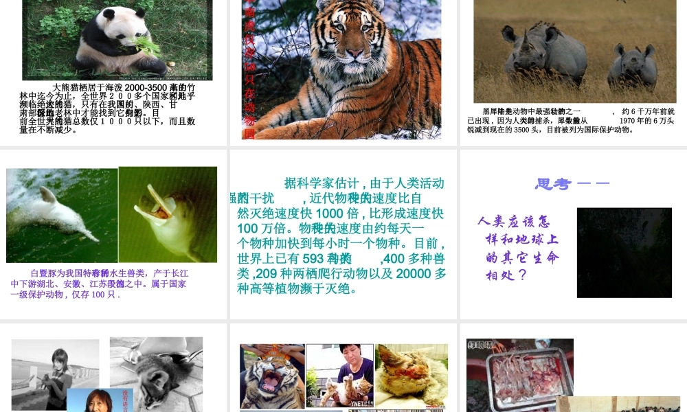 2014年秋七年级政治上册 第三课 第一框 世界因生命而精彩课件2 新人教版