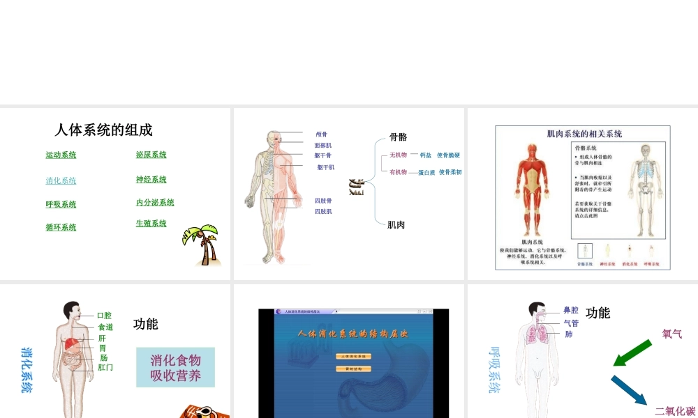 2014七年级生物下册 4.8.3 人体概述课件二 （新版）苏教版