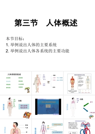 2014七年级生物下册 4.8.3 人体概述课件二 （新版）苏教版