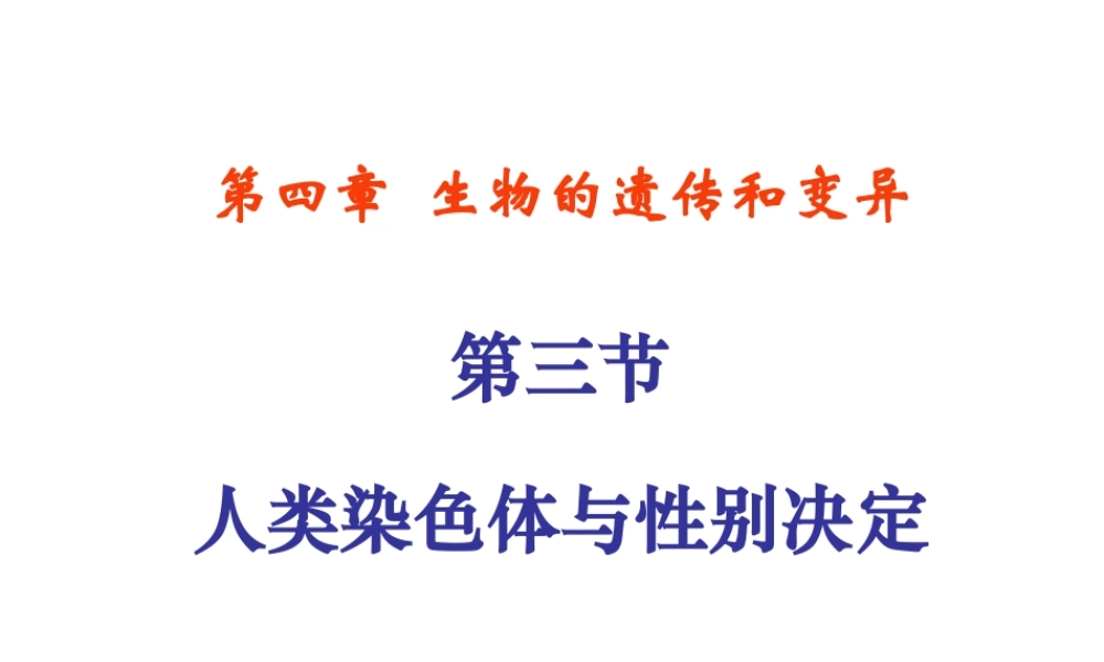 2014年秋八年级生物上册 4.4.3 人类染色体与性别决定课件 （新版）济南版
