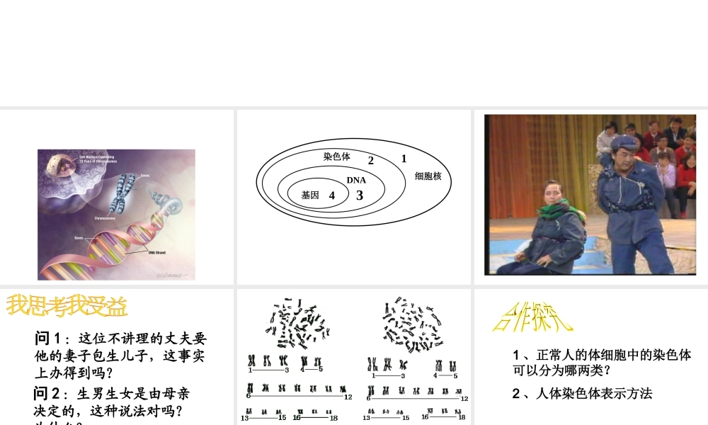 2014年秋八年级生物上册 4.4.3 人类染色体与性别决定课件 （新版）济南版