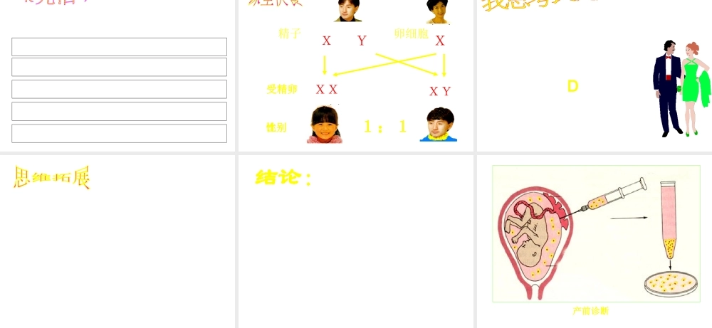 2014年秋八年级生物上册 4.4.3 人类染色体与性别决定课件 （新版）济南版