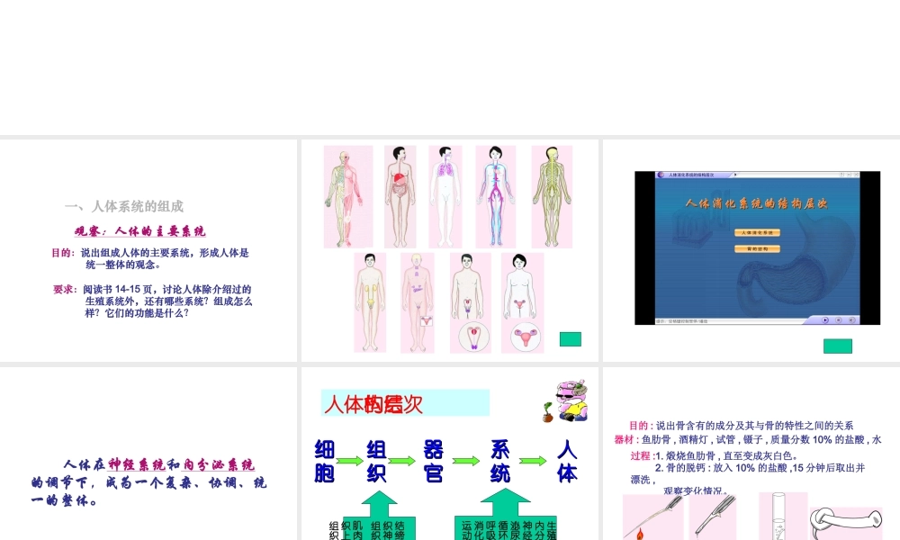 2014七年级生物下册 4.8.3 人体概述课件一 （新版）苏教版