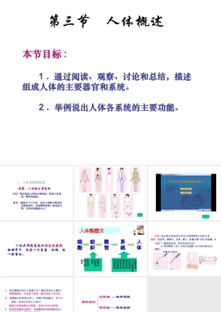 2014七年级生物下册 4.8.3 人体概述课件一 （新版）苏教版
