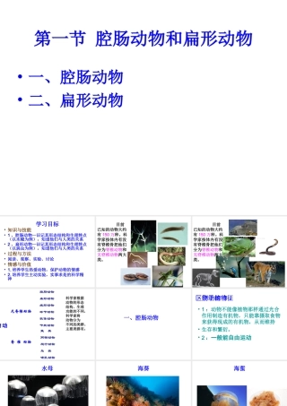 2014年秋八年级生物上册 5.1.1 肠动物和扁形动物课件 （新版）新人教版