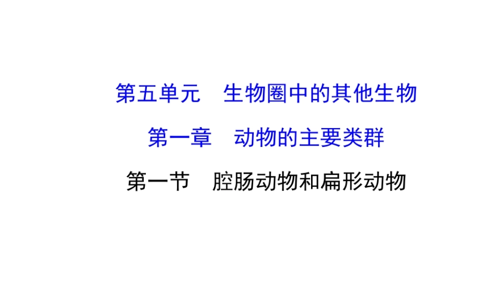 2014年秋八年级生物上册 5.1.1 腔肠动物和扁形动物课件 （新版）新人教版