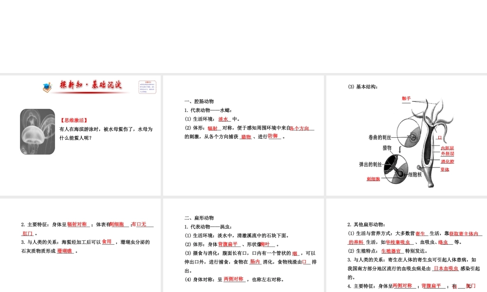 2014年秋八年级生物上册 5.1.1 腔肠动物和扁形动物课件 （新版）新人教版