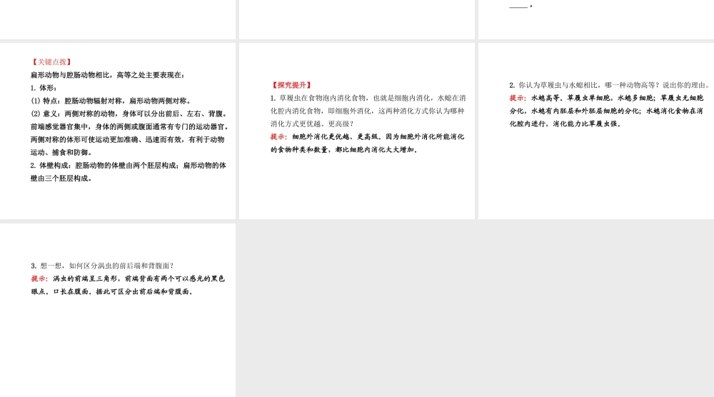 2014年秋八年级生物上册 5.1.1 腔肠动物和扁形动物课件 （新版）新人教版