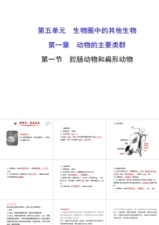 2014年秋八年级生物上册 5.1.1 腔肠动物和扁形动物课件 （新版）新人教版