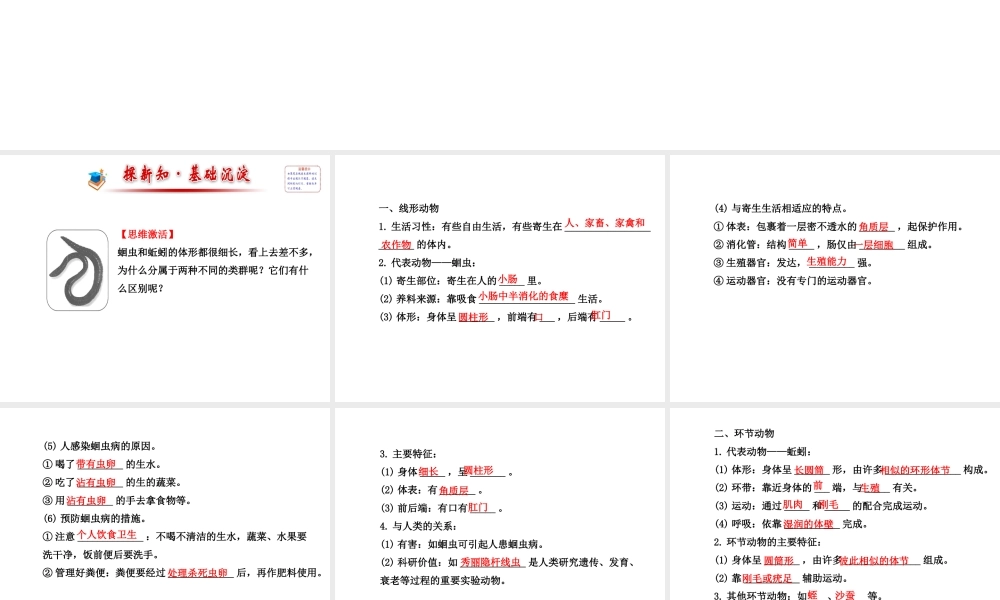 2014年秋八年级生物上册 5.1.2 线形动物和环节动物课件 （新版）新人教版