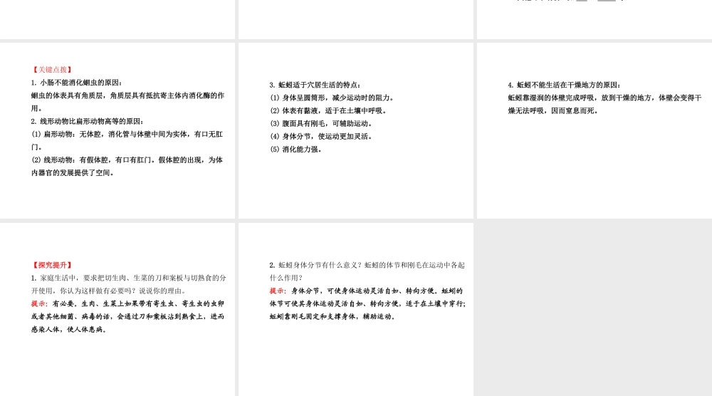 2014年秋八年级生物上册 5.1.2 线形动物和环节动物课件 （新版）新人教版