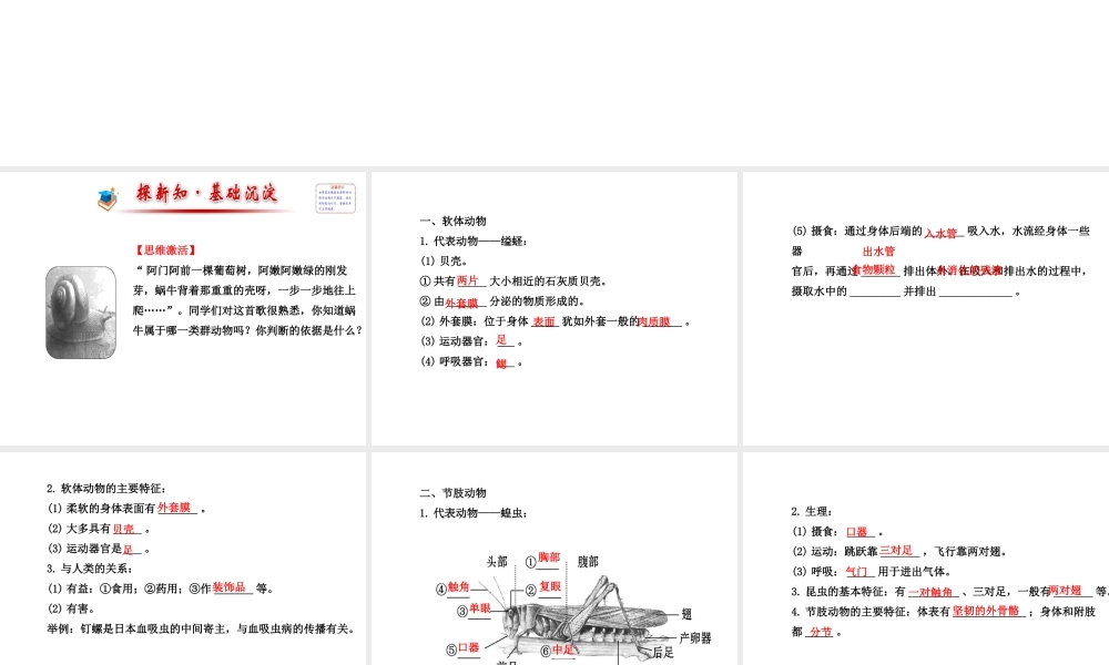 2014年秋八年级生物上册 5.1.3 软体动物和节肢动物课件 （新版）新人教版