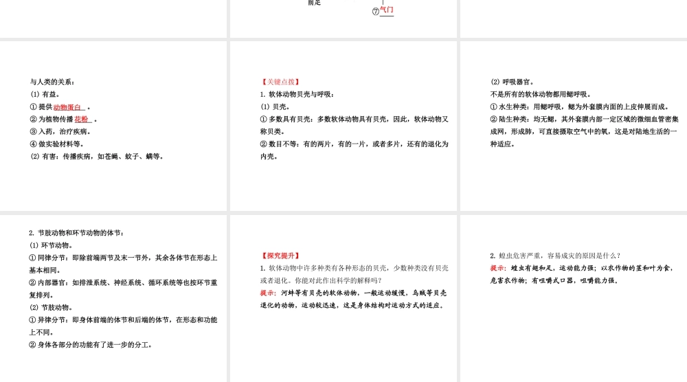 2014年秋八年级生物上册 5.1.3 软体动物和节肢动物课件 （新版）新人教版