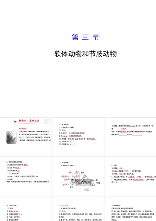 2014年秋八年级生物上册 5.1.3 软体动物和节肢动物课件 （新版）新人教版
