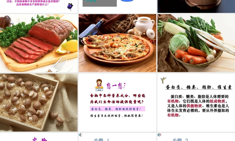 2014七年级生物下册 4.9.1 人体需要的主要营养物质课件二 （新版）苏教版