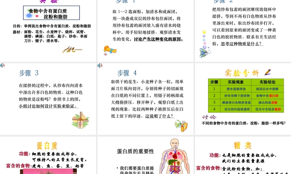 2014七年级生物下册 4.9.1 人体需要的主要营养物质课件二 （新版）苏教版