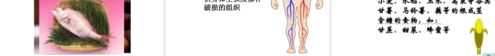 2014七年级生物下册 4.9.1 人体需要的主要营养物质课件二 （新版）苏教版