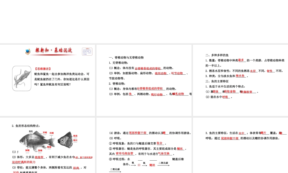 2014年秋八年级生物上册 5.1.4 鱼课件 （新版）新人教版