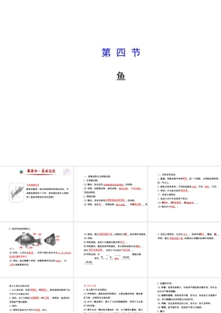 2014年秋八年级生物上册 5.1.4 鱼课件 （新版）新人教版