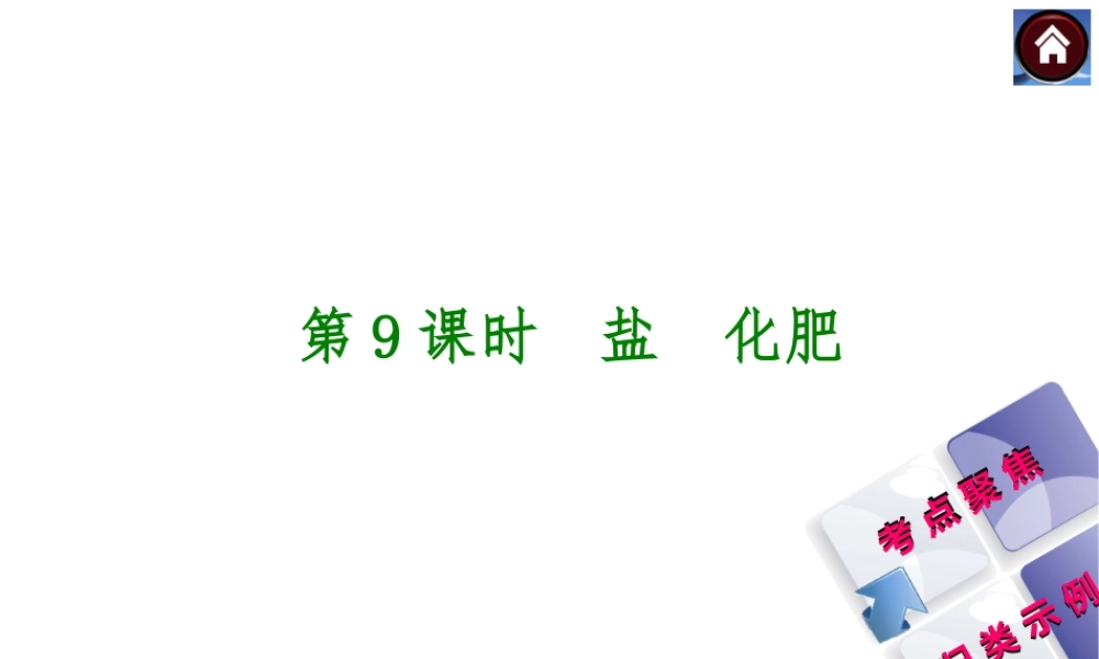 2014中考化学复习方案 第9课时 盐 化肥（考点聚焦+归类示例，含2013中考真题）权威课件