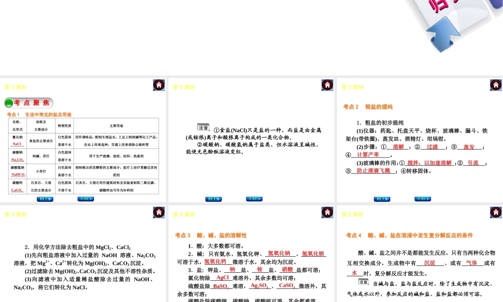 2014中考化学复习方案 第9课时 盐 化肥（考点聚焦+归类示例，含2013中考真题）权威课件