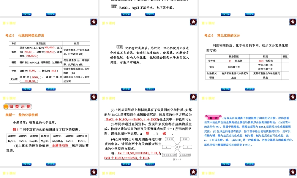 2014中考化学复习方案 第9课时 盐 化肥（考点聚焦+归类示例，含2013中考真题）权威课件