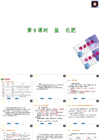 2014中考化学复习方案 第9课时 盐 化肥（考点聚焦+归类示例，含2013中考真题）权威课件