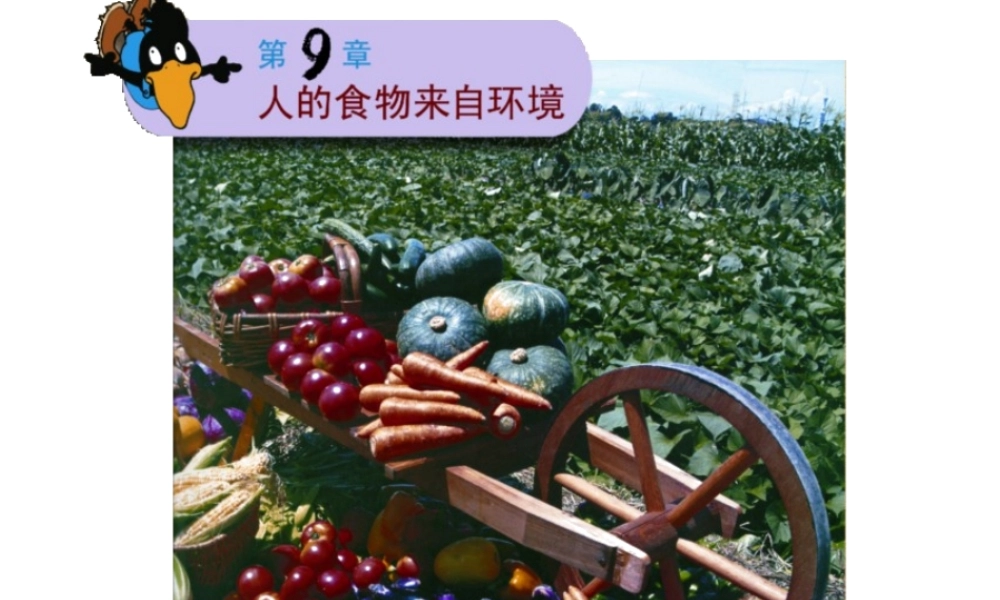 2014七年级生物下册 4.9.1 人体需要的主要营养物质课件一 （新版）苏教版