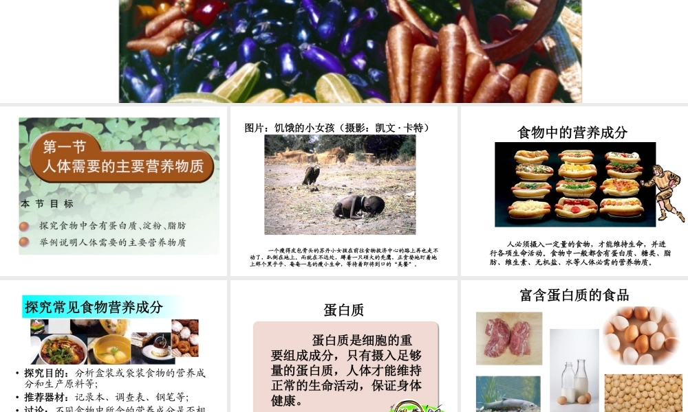 2014七年级生物下册 4.9.1 人体需要的主要营养物质课件一 （新版）苏教版