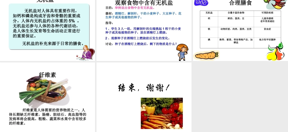 2014七年级生物下册 4.9.1 人体需要的主要营养物质课件一 （新版）苏教版