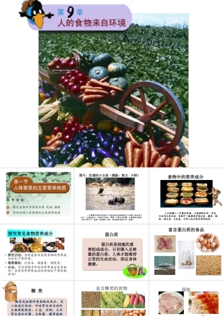 2014七年级生物下册 4.9.1 人体需要的主要营养物质课件一 （新版）苏教版