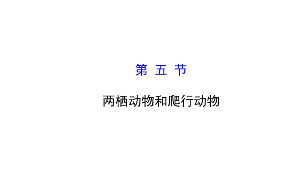 2014年秋八年级生物上册 5.1.5 两栖动物和爬行动物课件 （新版）新人教版