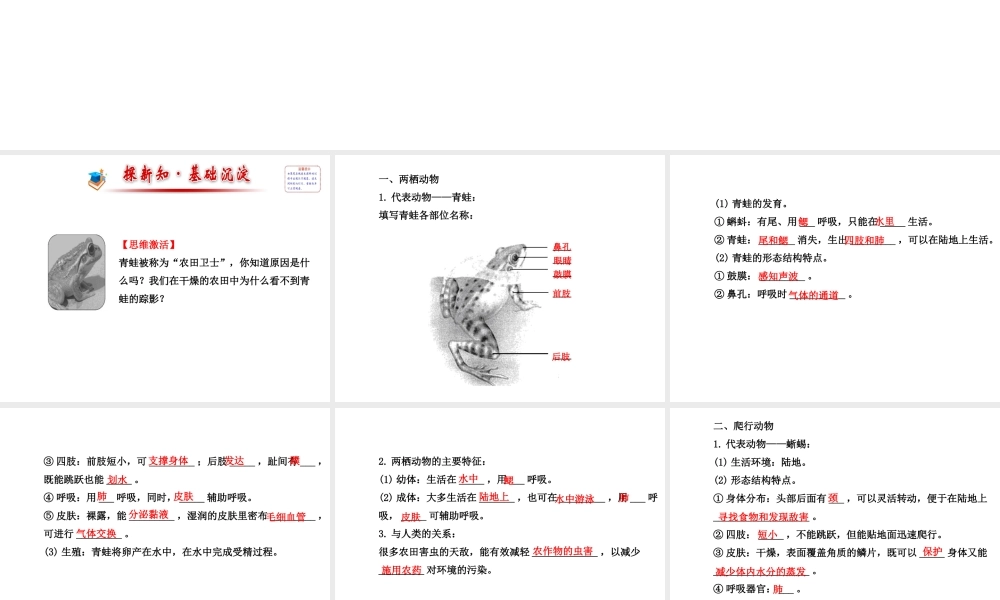 2014年秋八年级生物上册 5.1.5 两栖动物和爬行动物课件 （新版）新人教版