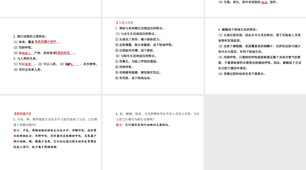 2014年秋八年级生物上册 5.1.5 两栖动物和爬行动物课件 （新版）新人教版