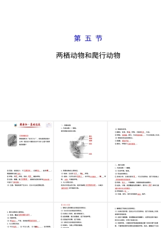 2014年秋八年级生物上册 5.1.5 两栖动物和爬行动物课件 （新版）新人教版