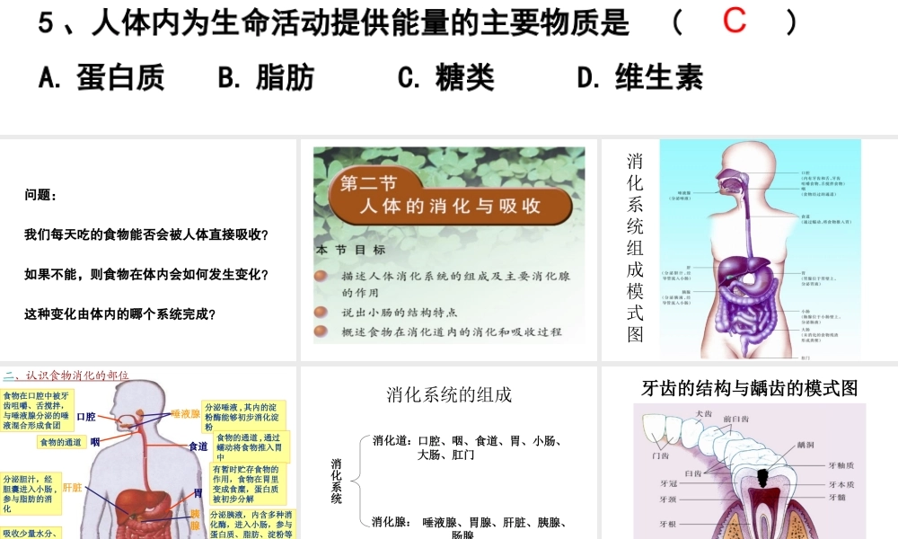 2014七年级生物下册 4.9.2 人体的消化和吸收课件二 （新版）苏教版