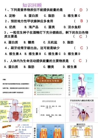 2014七年级生物下册 4.9.2 人体的消化和吸收课件二 （新版）苏教版