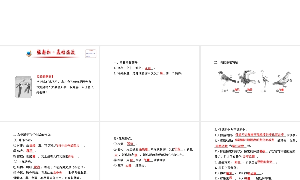 2014年秋八年级生物上册 5.1.6 鸟课件 （新版）新人教版