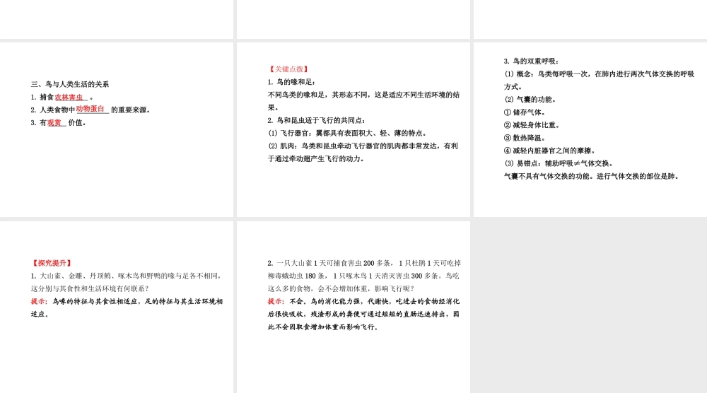 2014年秋八年级生物上册 5.1.6 鸟课件 （新版）新人教版