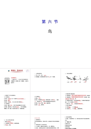 2014年秋八年级生物上册 5.1.6 鸟课件 （新版）新人教版
